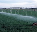 irrigation system in a green field